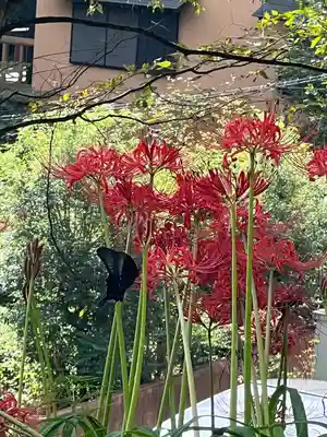 妙義神社(群馬県)