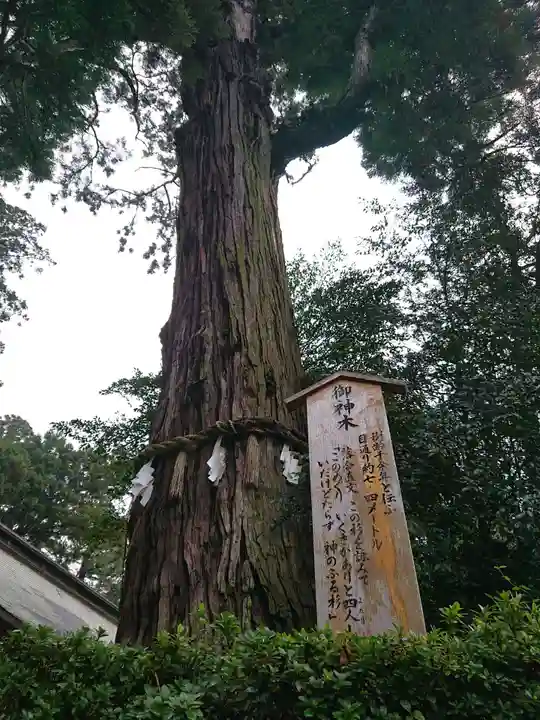 香取神宮のその他建物