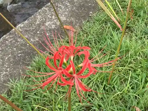 横浜　西方寺(神奈川県)