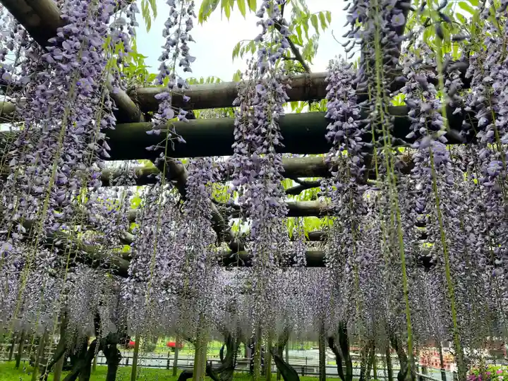 平等院(京都府)