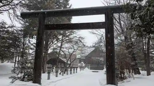 信濃神社の鳥居