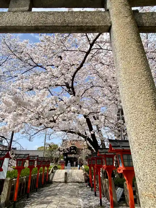 六孫王神社(京都府)