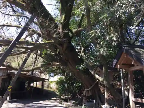 八大龍王水神の自然