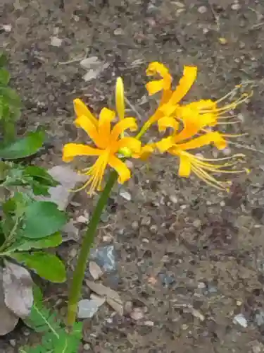 横浜　西方寺(神奈川県)