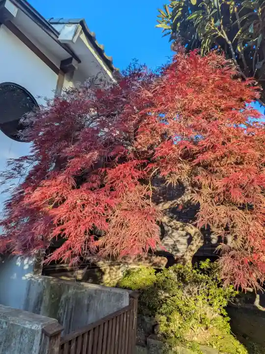 成願寺(東京都)