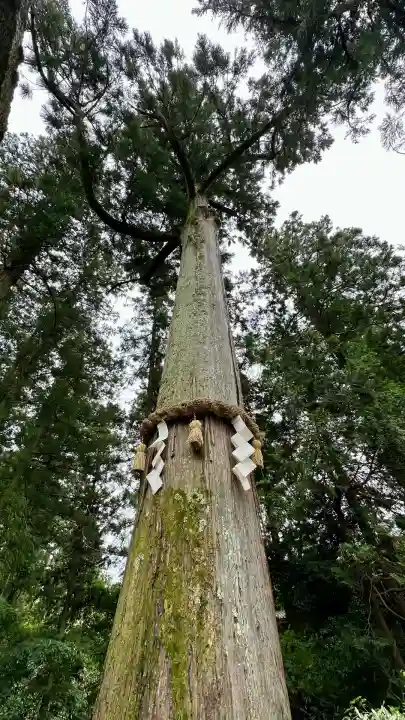 高鴨神社(奈良県)