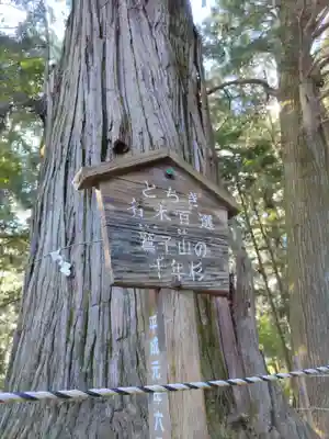鷲子山上神社(栃木県)