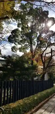 松先稲荷神社の自然