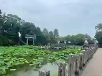 伊賀八幡宮(愛知県)