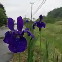 高司神社〜むすびの神の鎮まる社〜の自然
