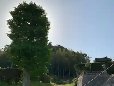 延命地蔵のその他建物