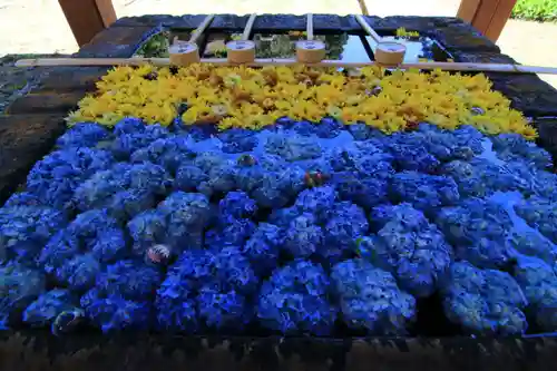 土津神社｜こどもと出世の神さまの手水