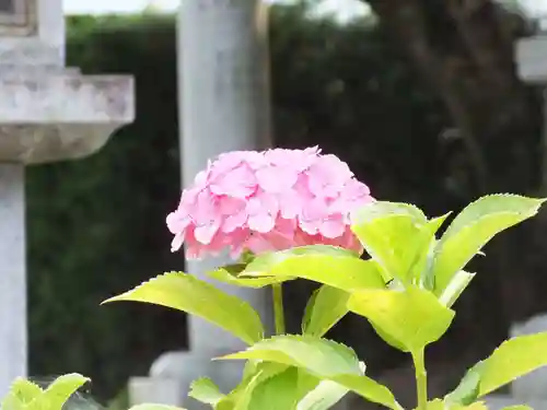 立志神社(滋賀県)