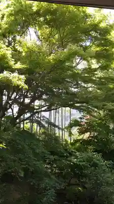 宝泉院(京都府)