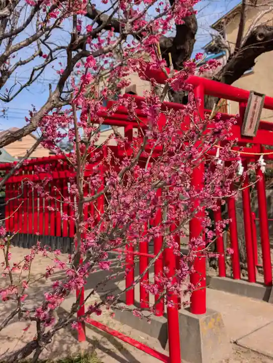 白山神社(東京都)