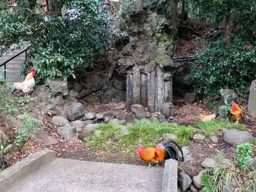 谷保天満宮の動物