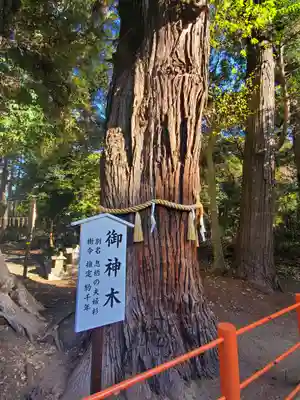 息栖神社の歴史