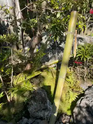 退蔵院(京都府)