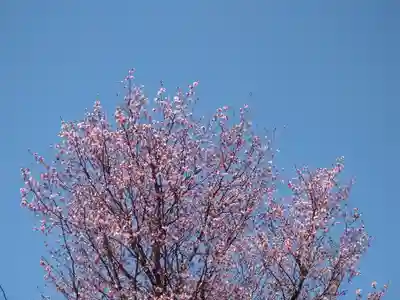 宝光寺(北海道)