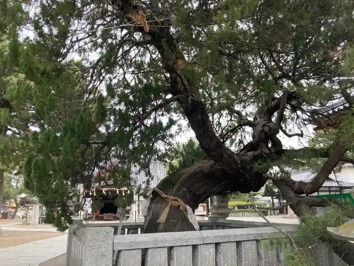 高砂神社の庭園