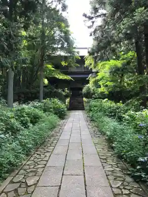 泰寧寺の山門・神門