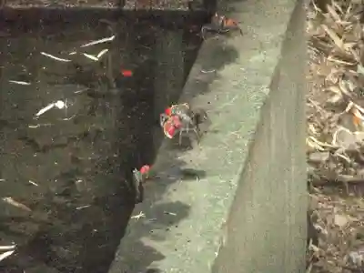 古尾稲荷神社(山口県)