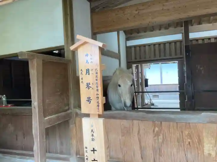 金刀比羅宮の動物