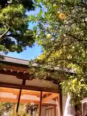 鳩森八幡神社(東京都)