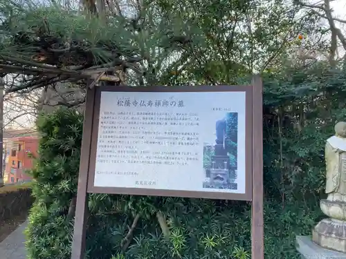 松蔭寺(神奈川県)