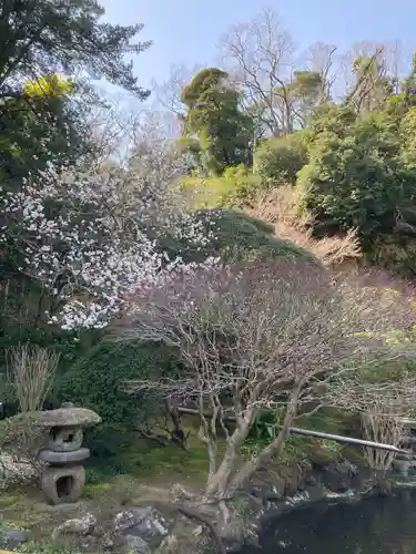 報国寺(神奈川県)