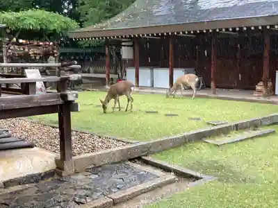 氷室神社(奈良県)