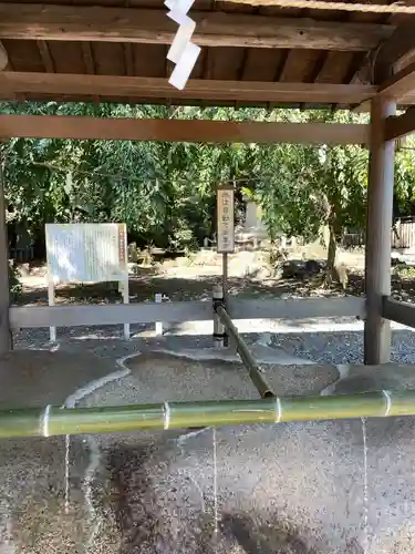 焼津神社の手水