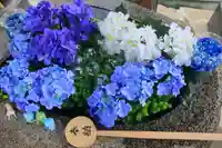 阿邪訶根神社の手水舎