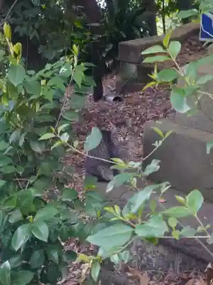 代々木八幡宮(東京都)