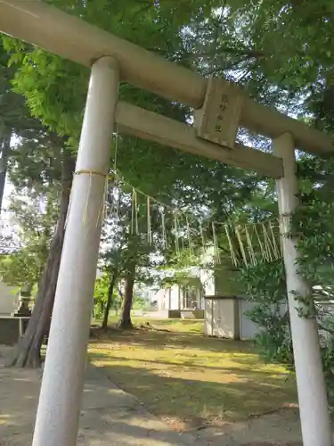 諏訪神社の鳥居