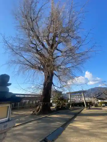 丹生酒殿神社の自然