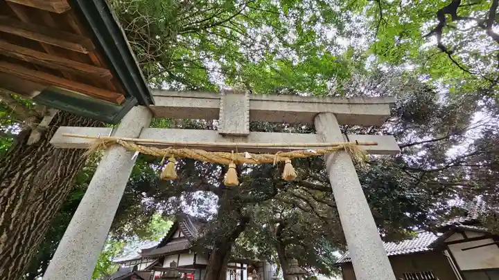 諏訪大神社 (埼玉県)