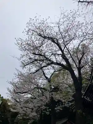 日枝神社(東京都)