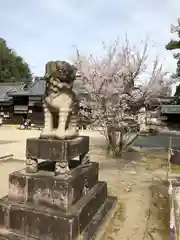 今宮神社の狛犬