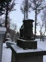 上野幌神社の狛犬