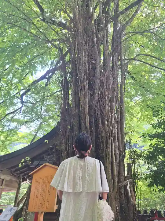 貴船神社の{uncategorized: "未分類", other: "その他", undefined: "問題あり", building: "その他建物", grave: "お墓", sacred_gate: "鳥居", guardian: "狛犬", statue: "像", buddha: "仏像", history: "歴史", nature: "自然", garden: "庭園", animal: "動物", pagoda: "塔", temizu: "手水舎", mountain_gate: "山門・神門", sanctuary: "本殿・本堂", subordinate: "末社・摂社", art: "芸術", scenery: "景色", jizo: "地蔵", ema: "絵馬", goshuin: "御朱印", omikuji: "おみくじ", items: "授与品その他", amulet: "お守り", goshuincho: "御朱印帳", eats: "食事", festival: "お祭り", votive_dance: "神楽", shichigosan: "七五三参", wedding: "結婚式", experience: "体験その他", initially: "初詣", around: "周辺", anti_infection: "感染症対策"}