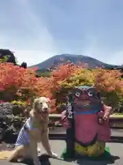 寛永寺別院浅間山観音堂の動物