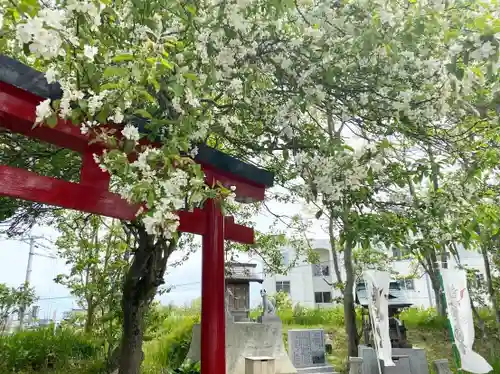 釧路一之宮 厳島神社の自然