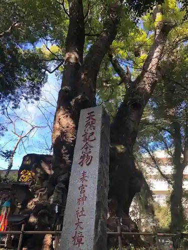 來宮神社(静岡県)