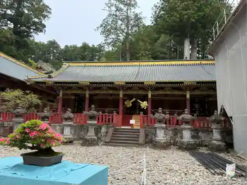 日光東照宮(栃木県)