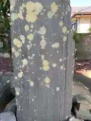 八幡神社(千葉県)