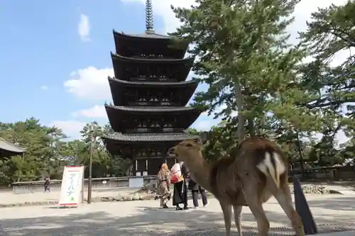 興福寺の塔