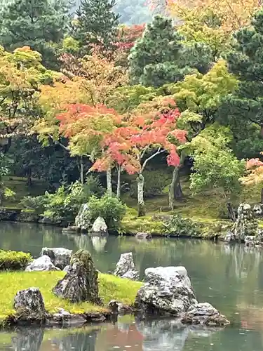 天龍寺の庭園