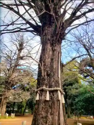赤坂氷川神社(東京都)