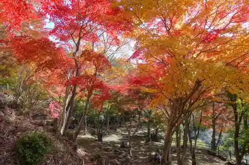 笠置寺の庭園